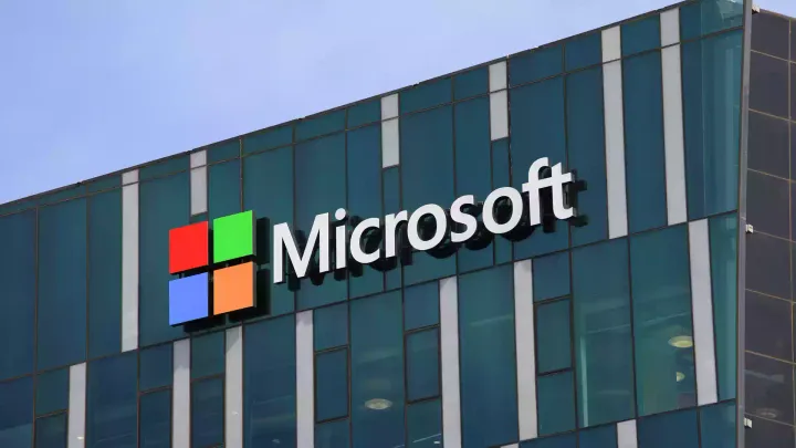 Microsoft Backs India's Largest Nature-Based Carbon Removal Project